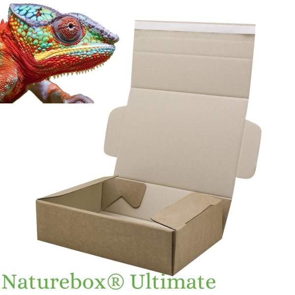 Umweltfreundliches Verpackungsmaterial Naturebox Ultimate 0748 SIlphie-Graskartons